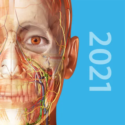Human Anatomy Atlas 2027 (iOS)