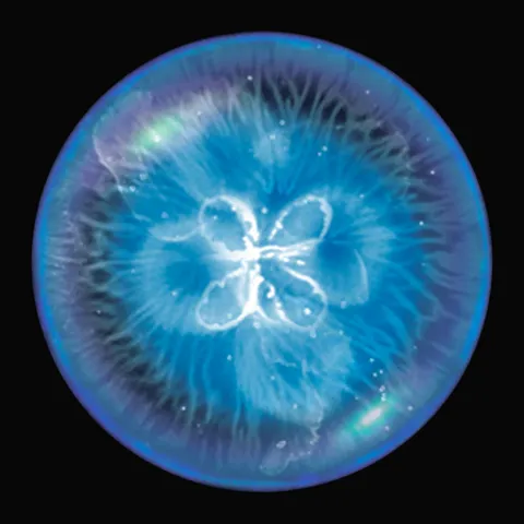 Osmos (iOS)