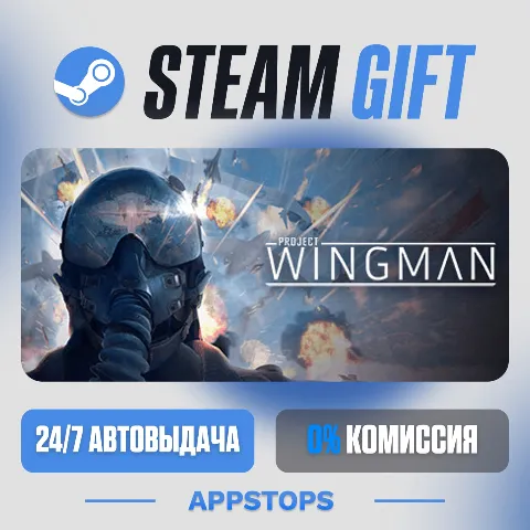 Project Wingman (Steam)